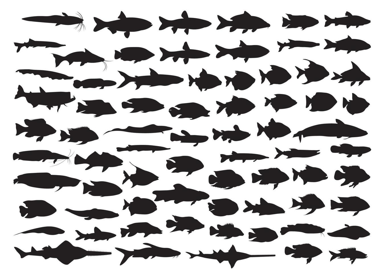 Collection of silhouettes of various kinds of fish vector