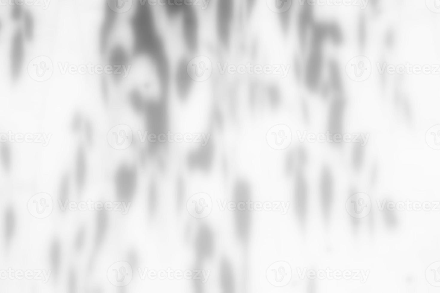 Blurred Leaves Shadow on White Wall Texture Background. photo