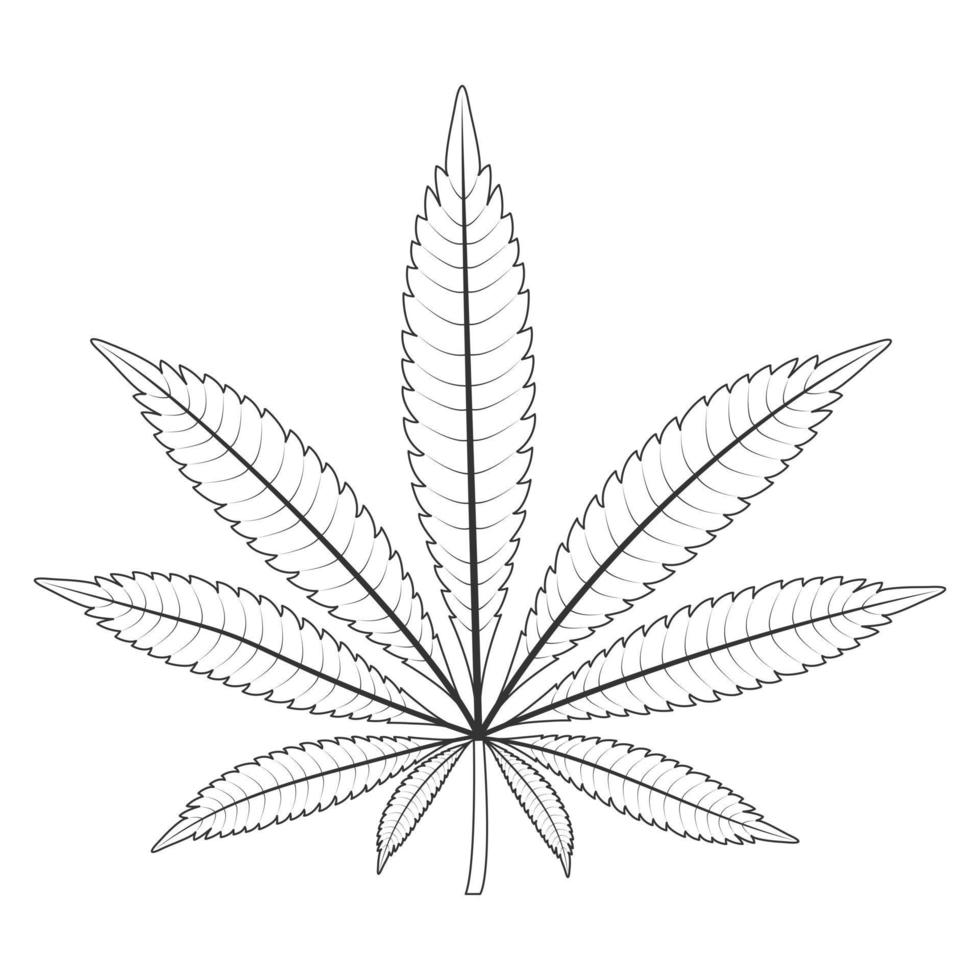 Cannabis. Contour sheet of marijuana. Vector illustration.