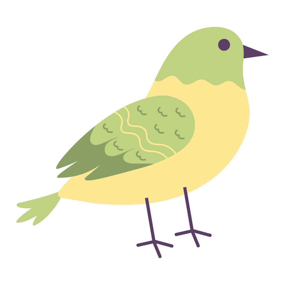 A colorful spring bird. Vector illustration.