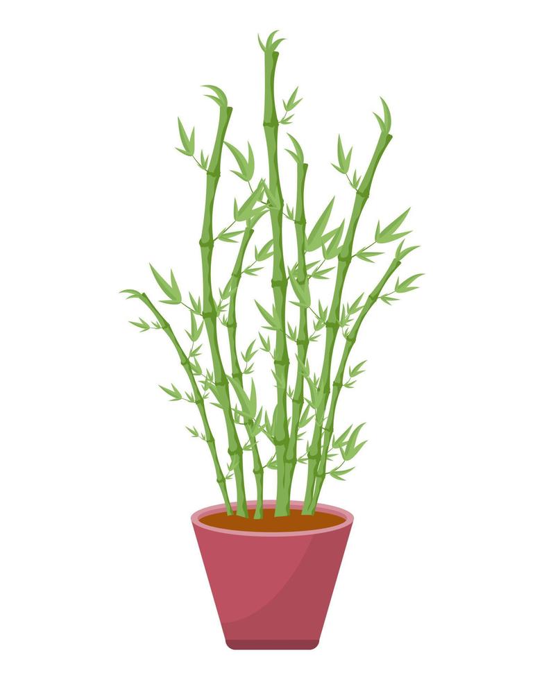 Bamboo in a pot. Chinese tree. Elements of interior design. Vector illustration.
