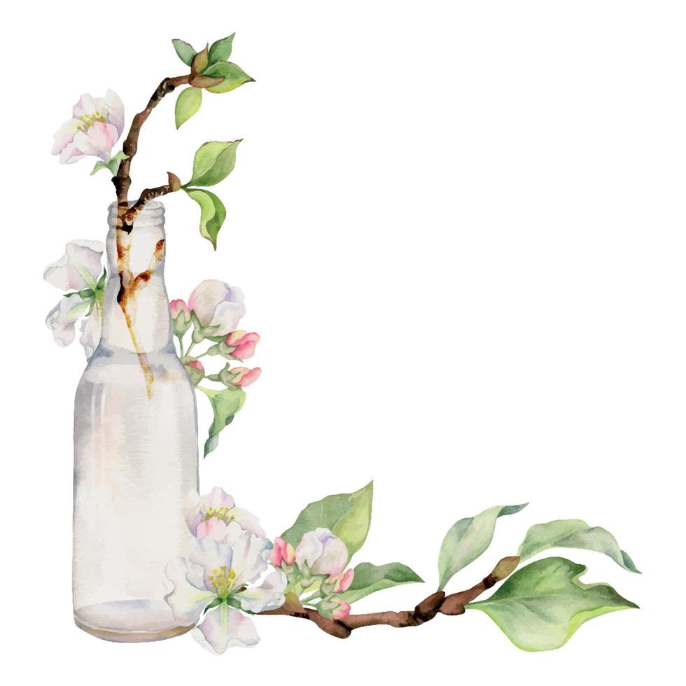 Hand drawn watercolor composition with apple flowers on branch with leaves and glass bottle. Isolated on white background. Design for wall art, wedding, print, fabric, cover, card, invitation vector