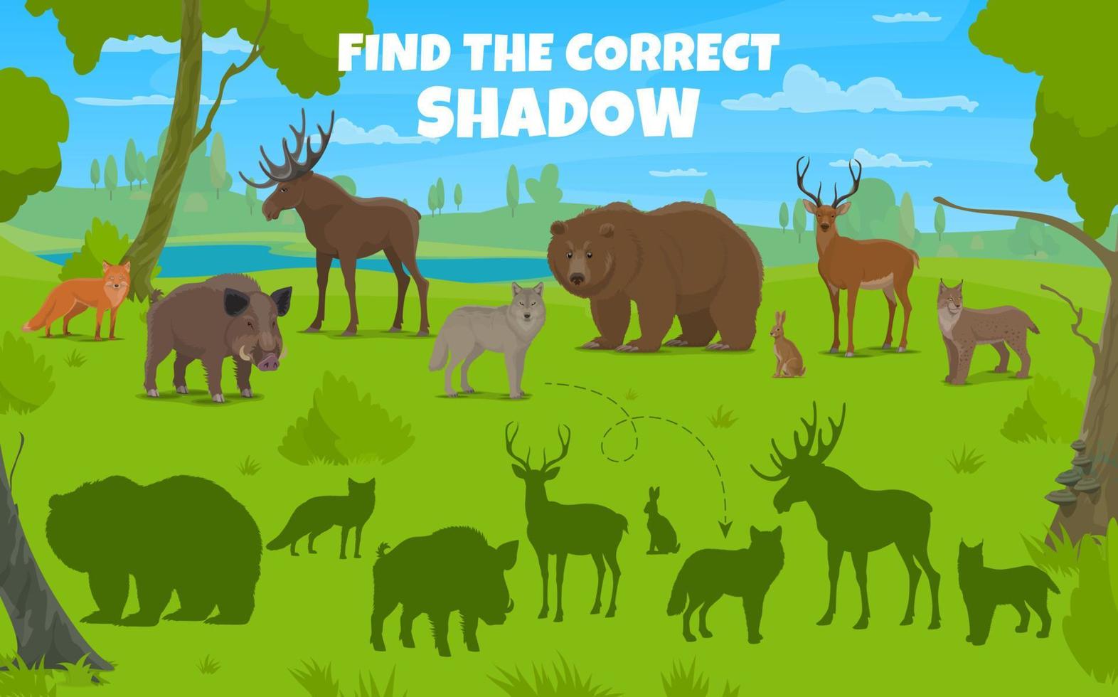 encontrar correcto sombra de caza animales y aves vector