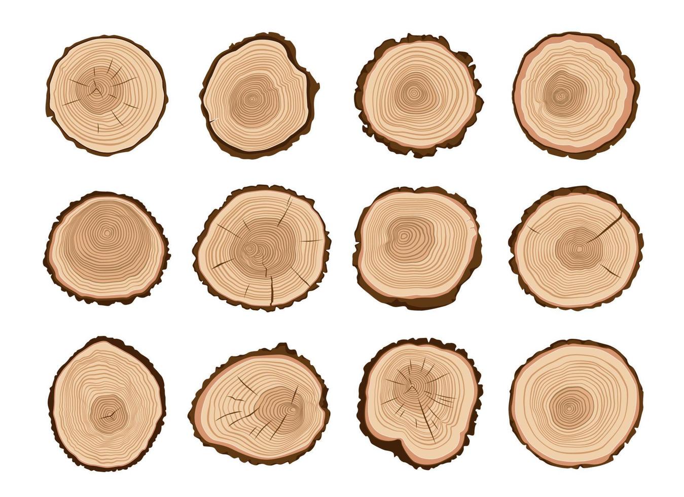 Tree trunks, stump wood cut with age rings vector