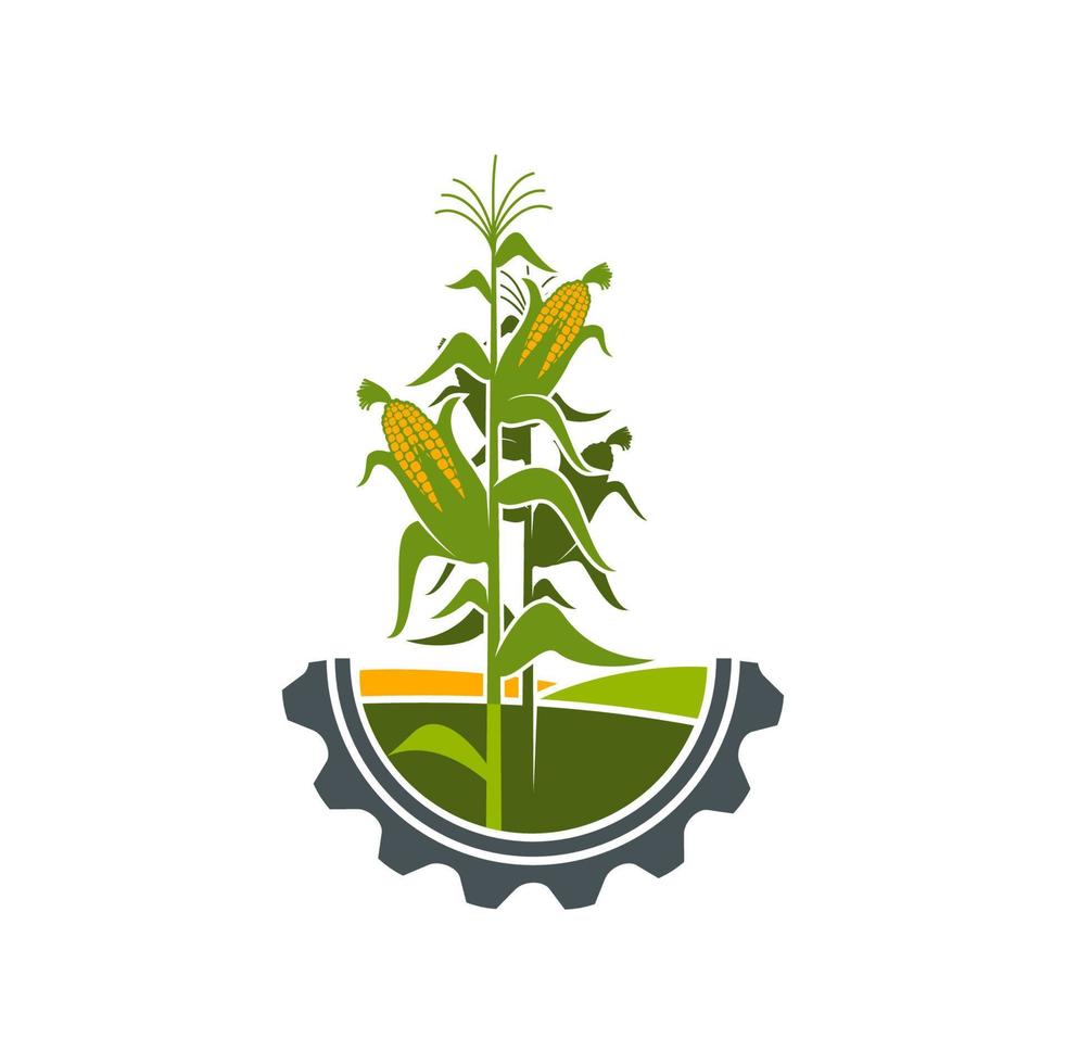 Agriculture icon, field of corn in cogwheel circle vector