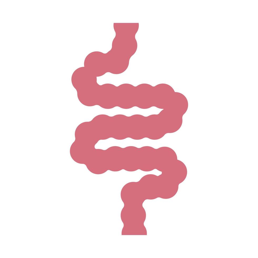 intestine simple icon vector