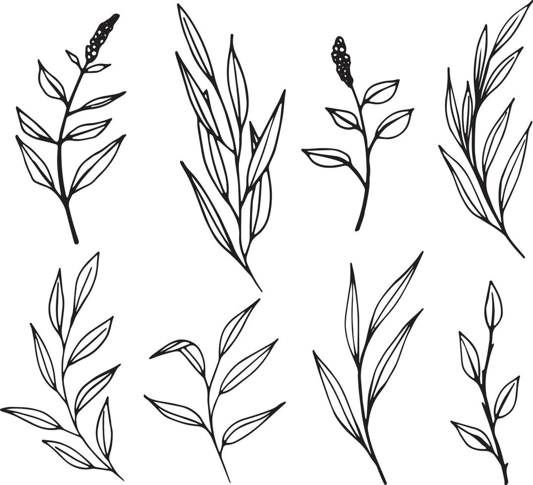 Set of graphic vector plant branches with leaves and flowers. Vector elements for wedding design, logo design, packaging and other ideas