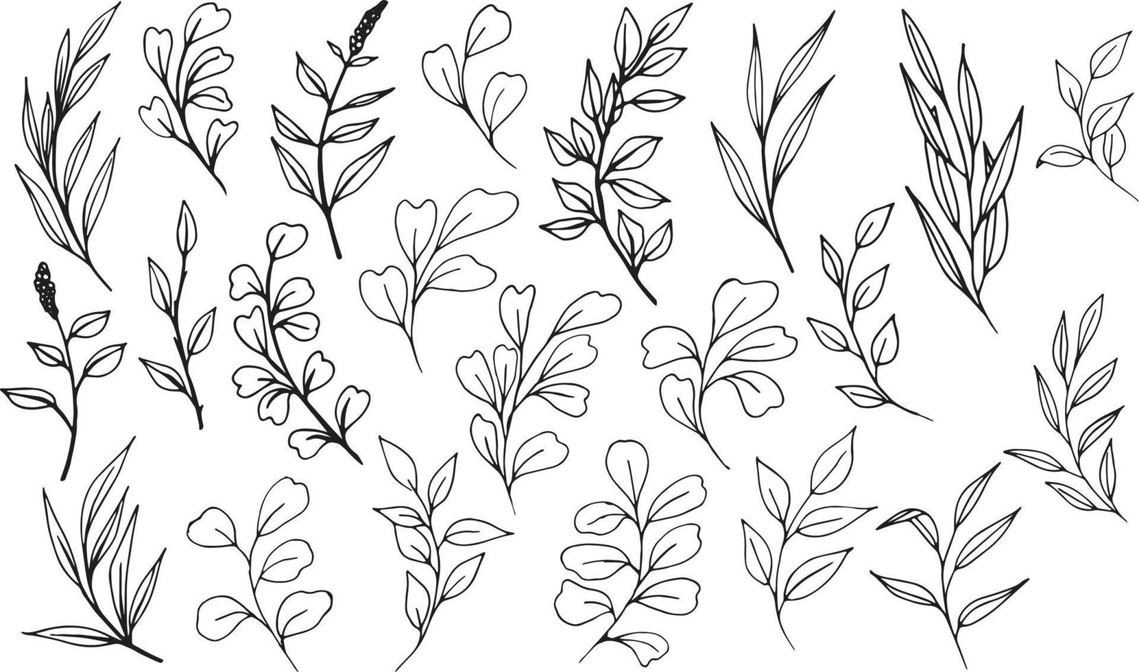 Set of graphic vector plant branches with leaves and flowers. Vector elements for wedding design, logo design, packaging and other ideas