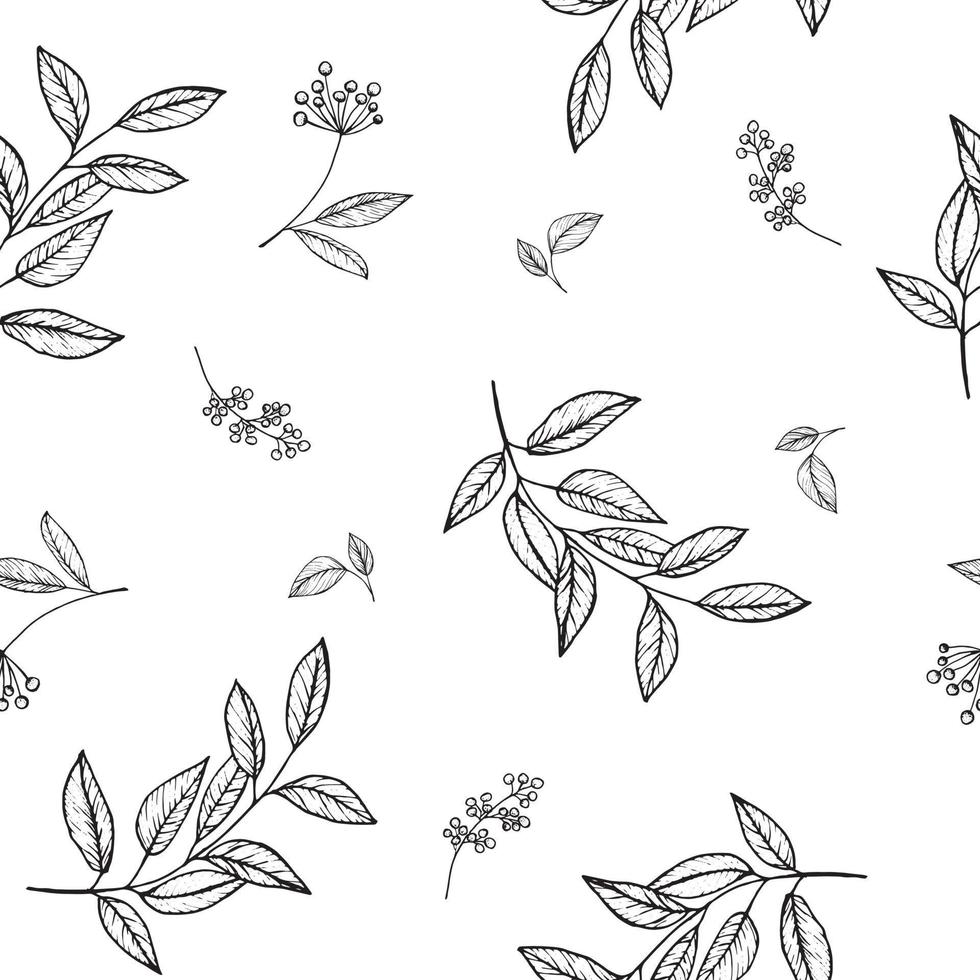 Hand drawing sketching seamless pattern with vector black and gray branches with leaves and berries.. Vector elements for wedding design, logo design, packaging and other ideas