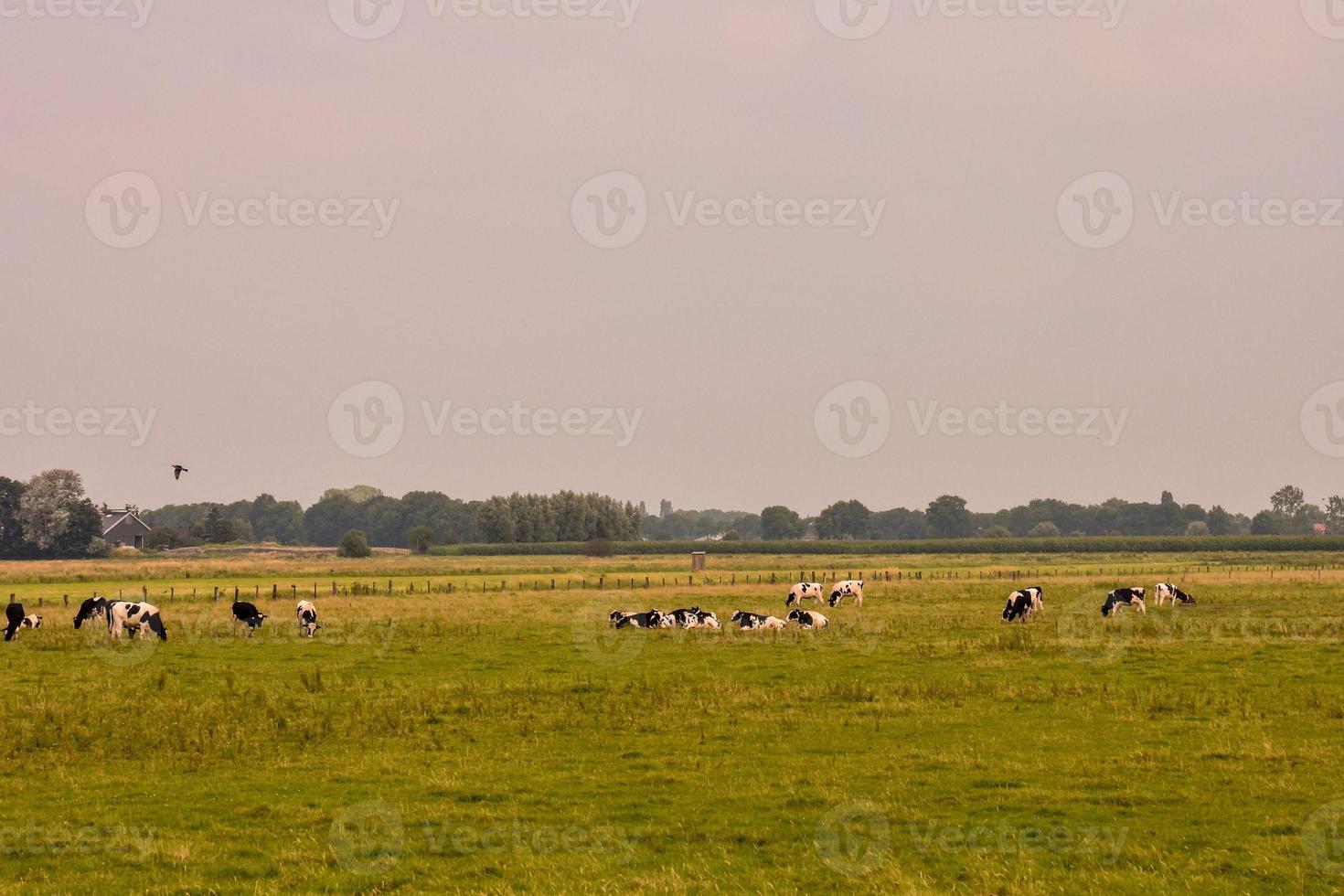 escénico rural paisaje foto