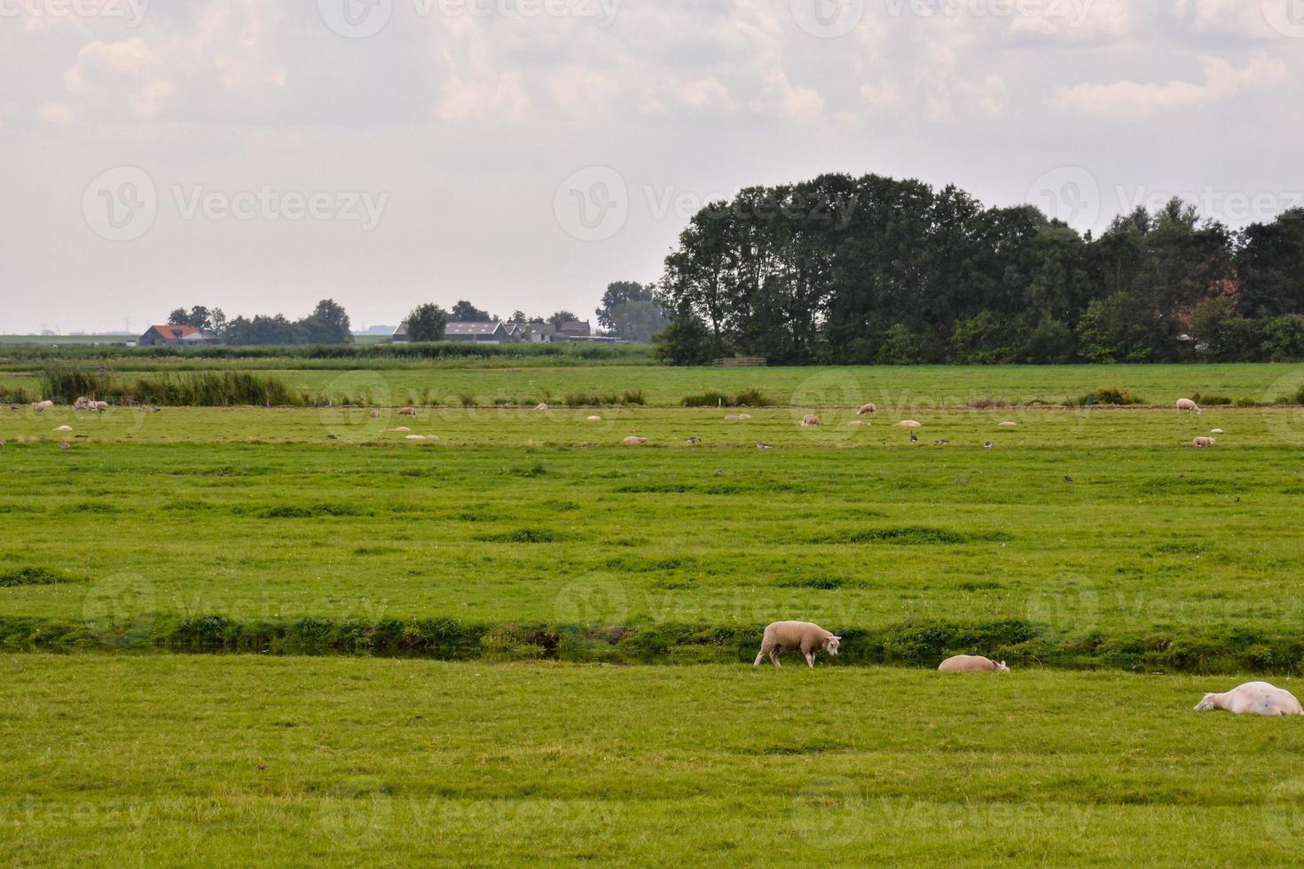 escénico rural paisaje foto