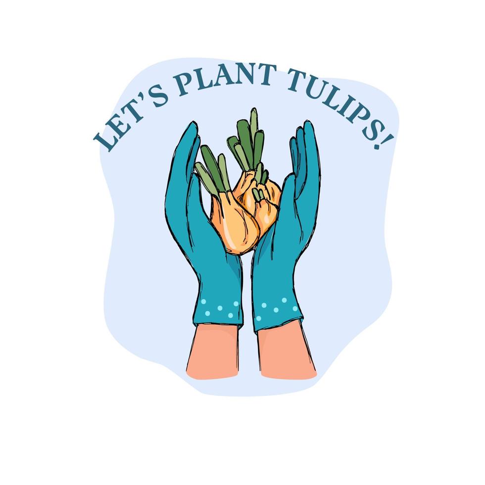 vamos planta tulipanes letras texto. manos en jardinería guantes participación tulipán bombillas plantando tulipanes trabajo y descanso en el jardín. vector ilustración.