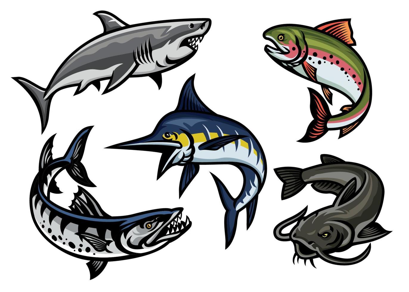 set of fish illustration in colored vector