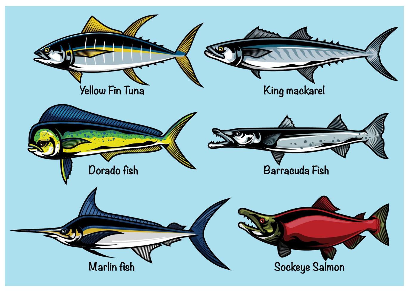 set of colored fish illustration vector