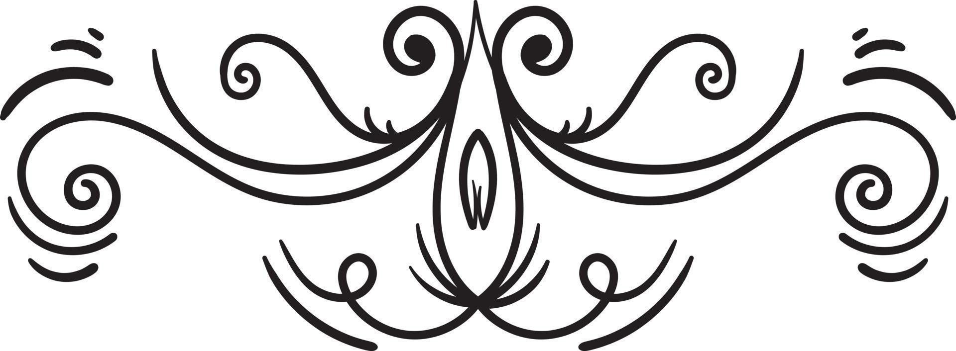 Black border ornaments illustration vector