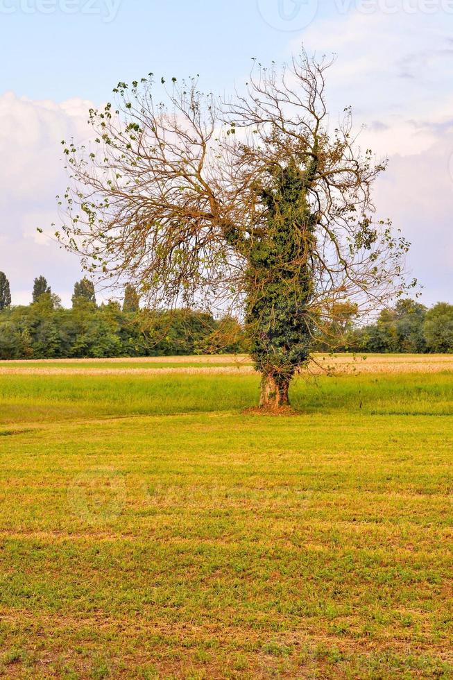 escénico rural paisaje foto