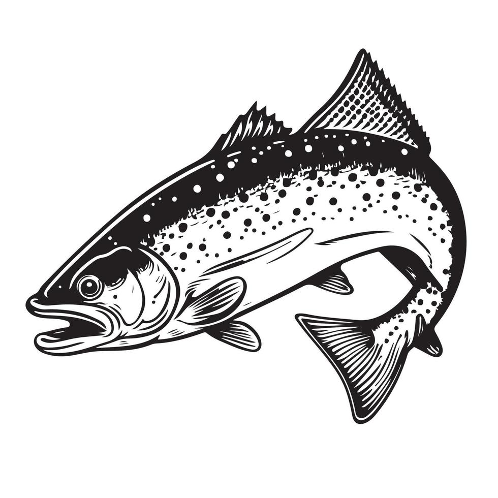 Salmon bass fish icon isolated on white background. Logo design element, label, emblem, mark, brand mark vector illustration