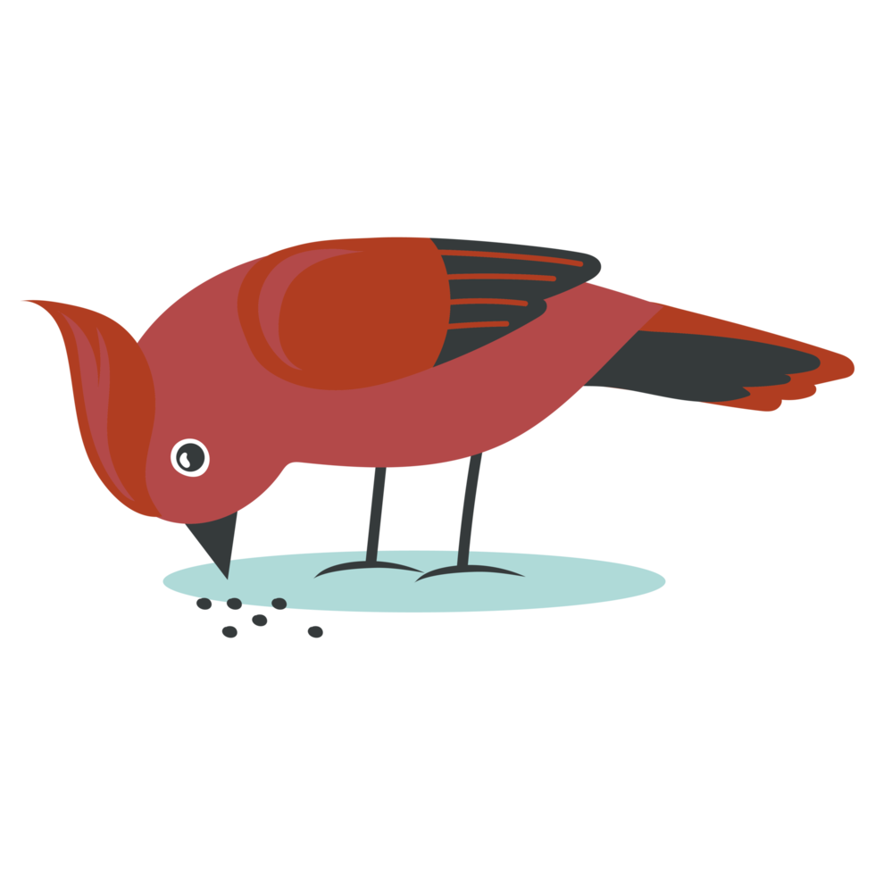 Cute Bird Illustration png