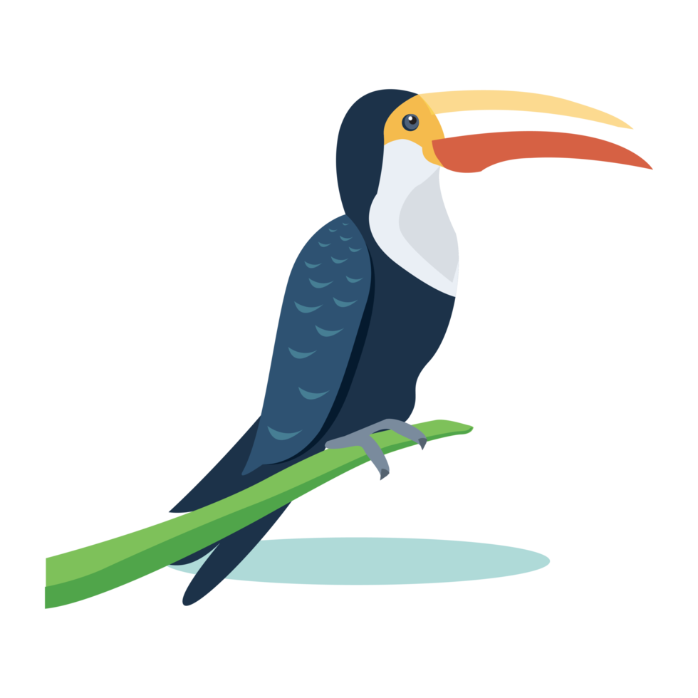 Cute Bird Illustration png