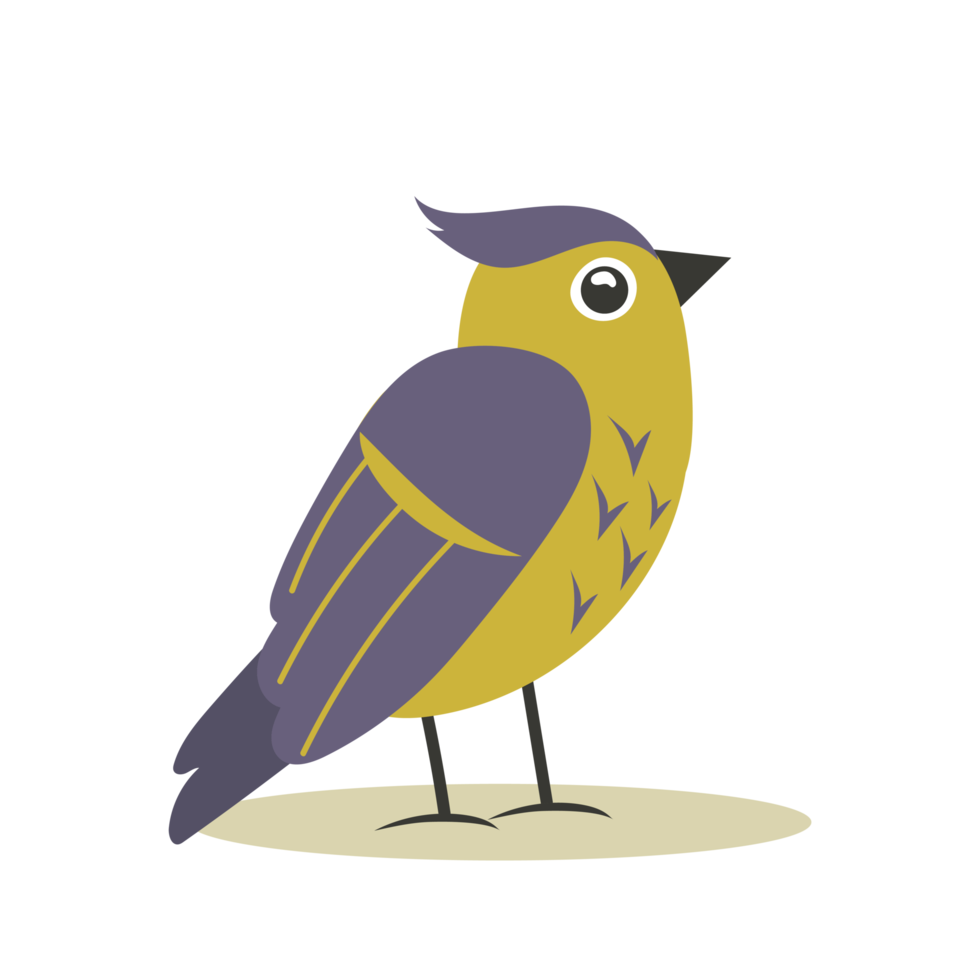 Cute Bird Illustration png