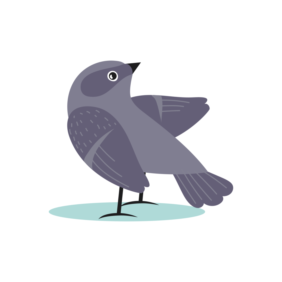 Cute Bird Illustration png