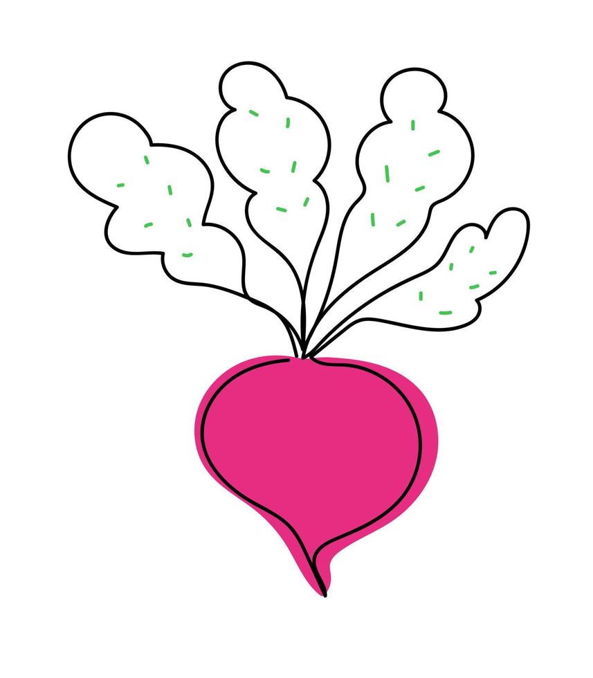 Simple radish design in continuous line drawing style. Growing radishes. Vector illustration