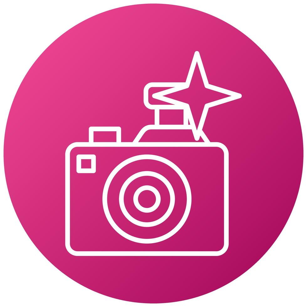 Flash Camera Icon Style vector