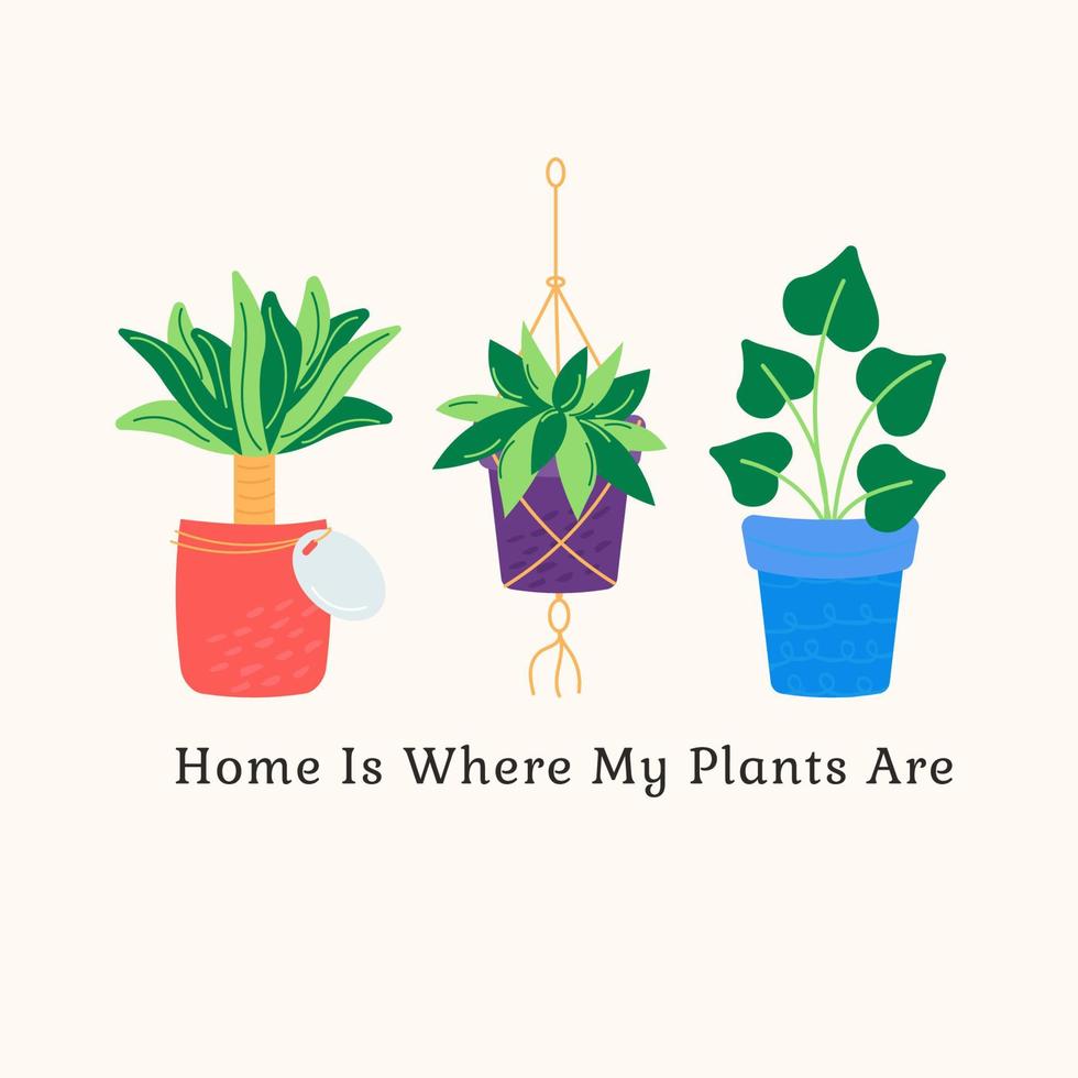 Different cartoon plants with the inscription Home Is Where My Plants Are vector