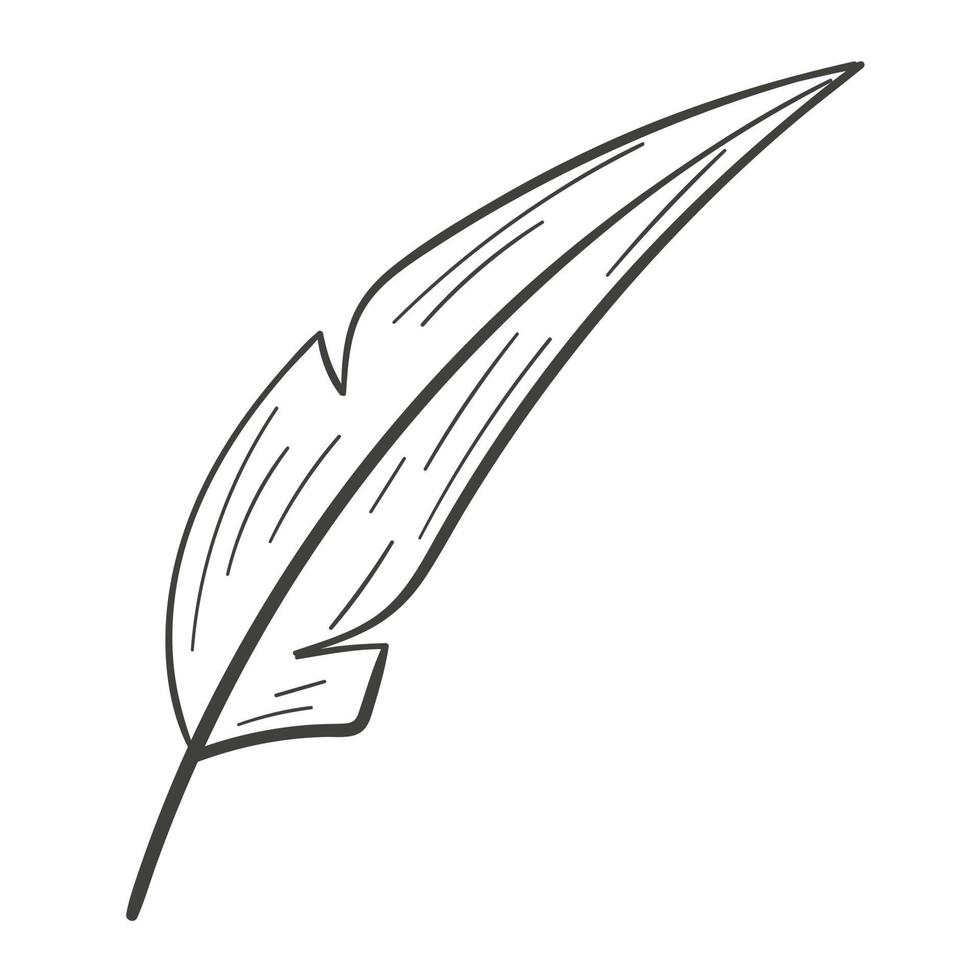 Vector isolated design element, doodle cartoon bird feather.