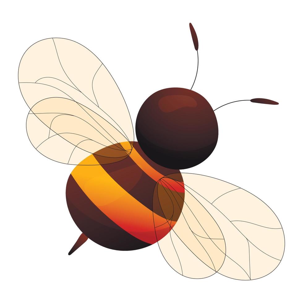 Vector isolated illustration cartoon bee from above. View of the striped back, sting and transparent wings.