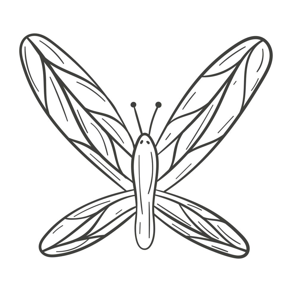 Vector illustration of cartoon doodle isolated butterfly.