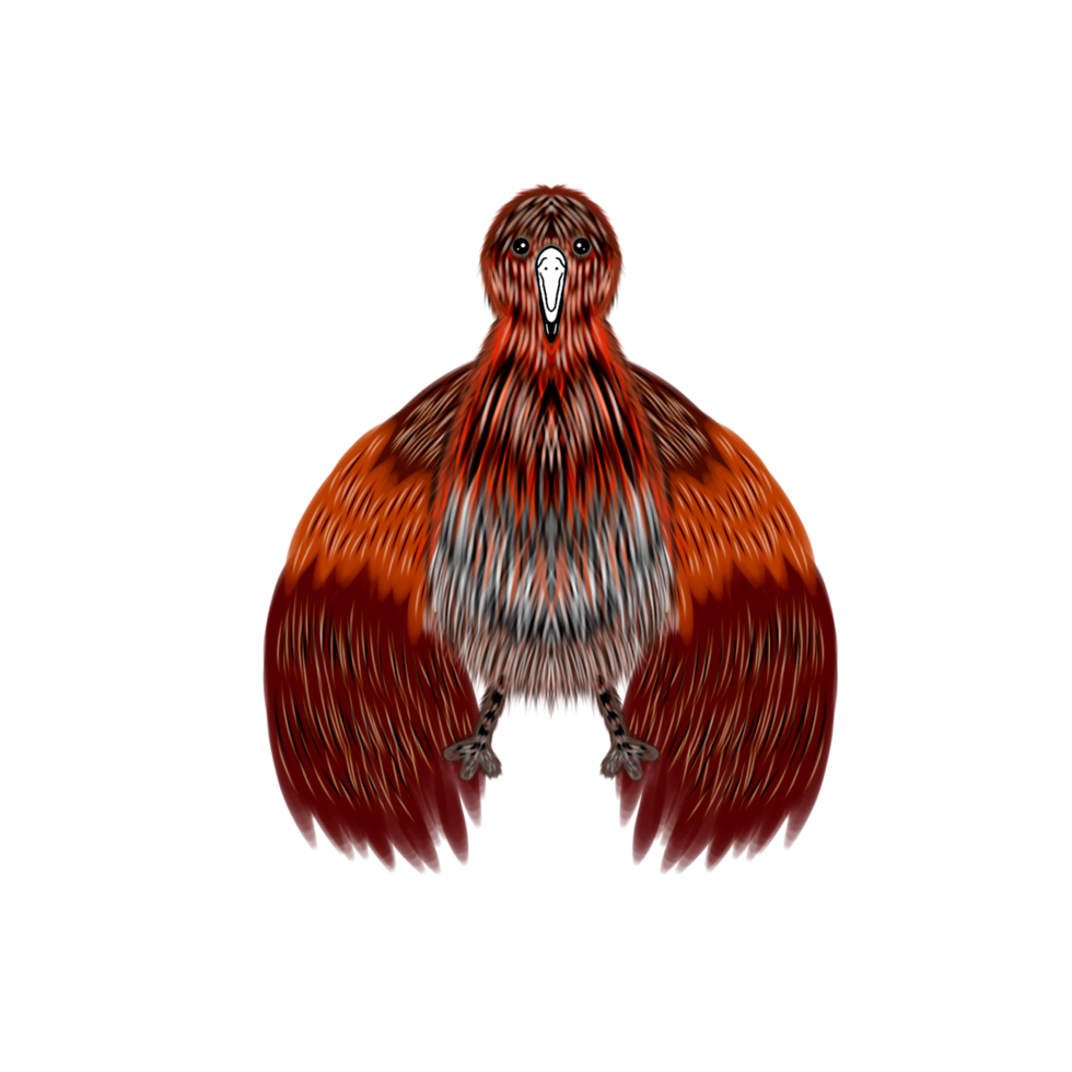 Bird Character Cartoon png