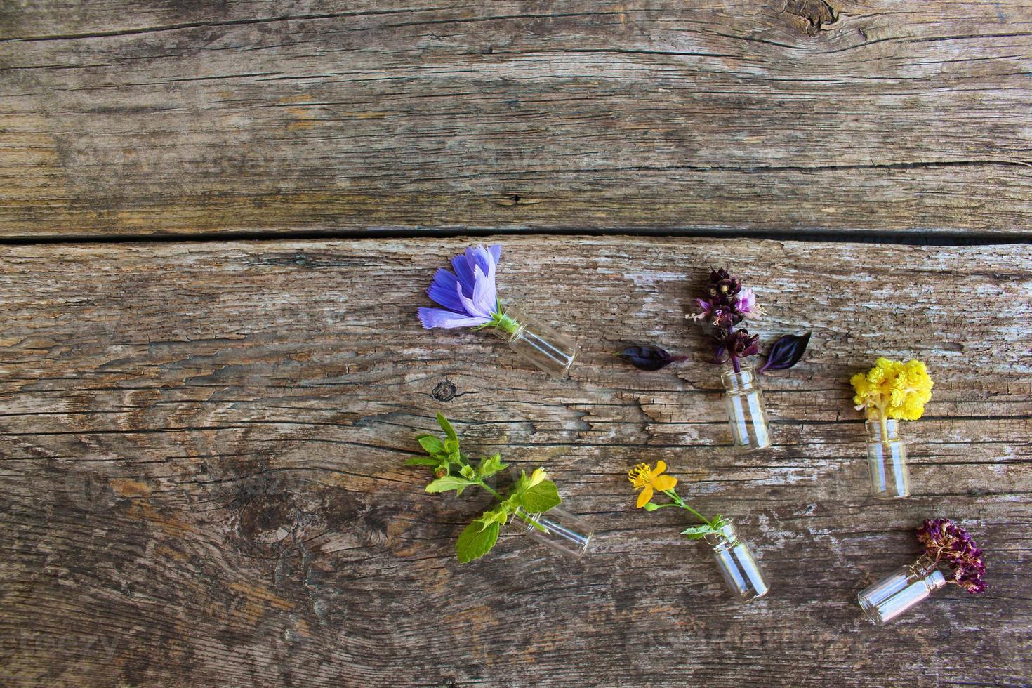 Healing herbs on wooden background. Top view. photo