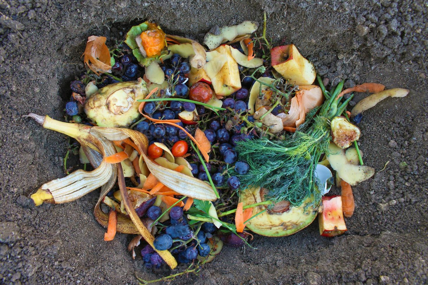 Domestic waste for compost from fruits and vegetables in garden. photo