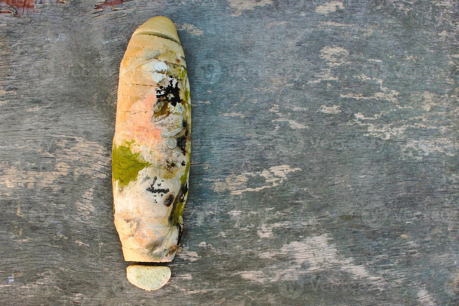 el antiguo blanco molde en el un pan. estropeado alimento. molde en alimento. foto