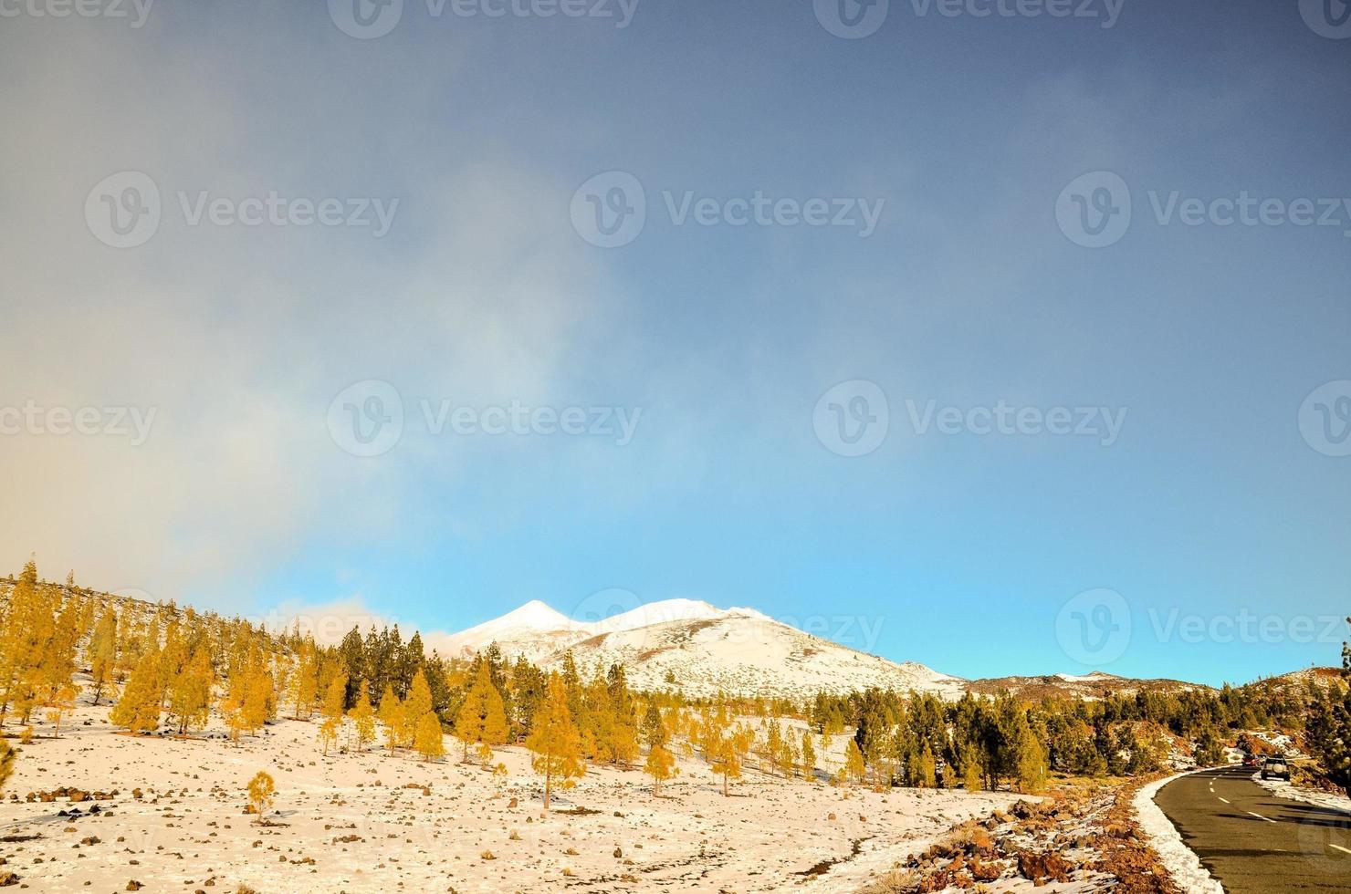 paisaje nevado de montaña foto