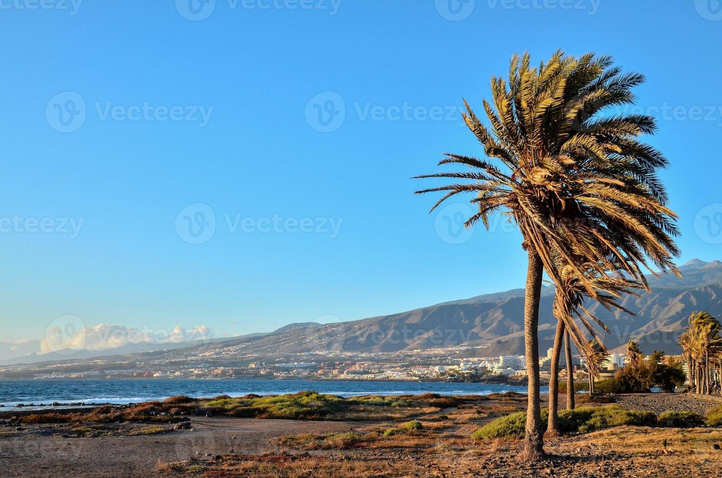 Scenic coastal view photo