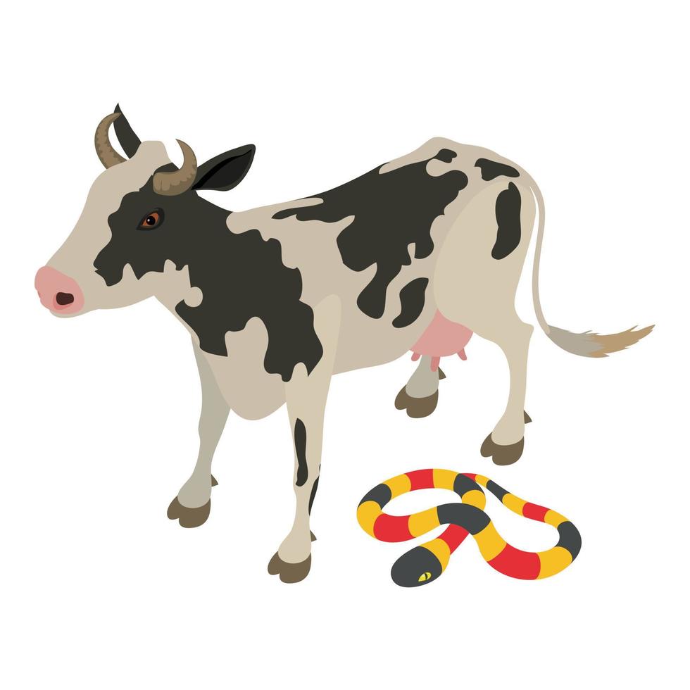 Farm animal icon isometric vector. Small spotted cow near poisonous coral snake vector