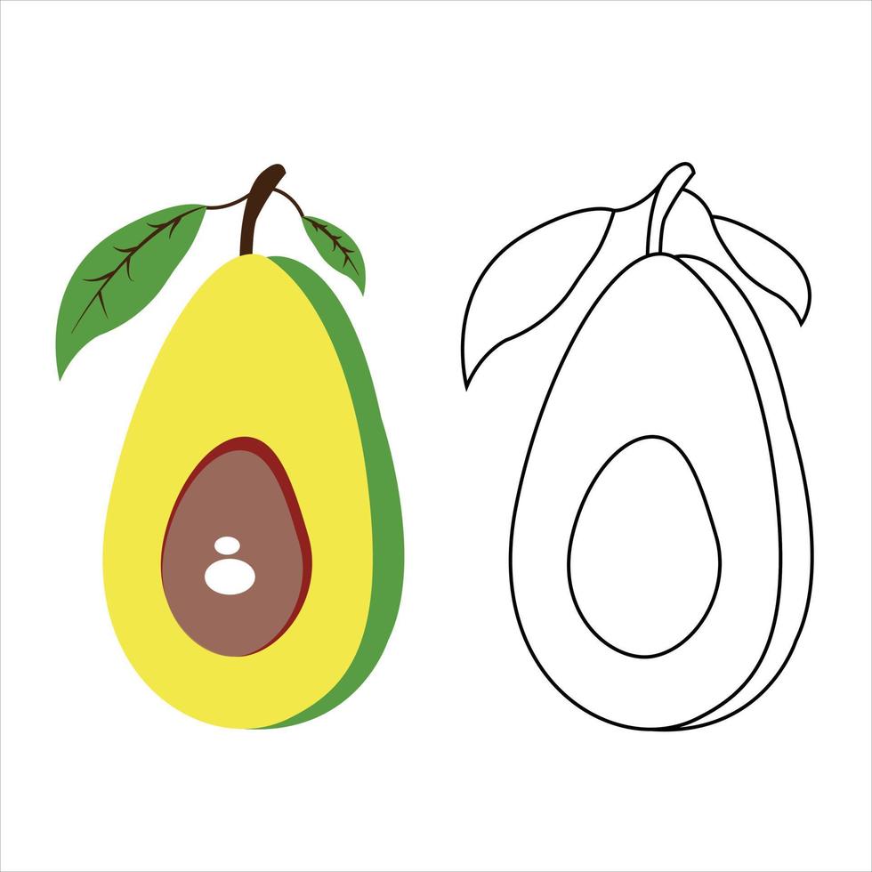 Cut vector avocado hand drawn cartoon art illustration