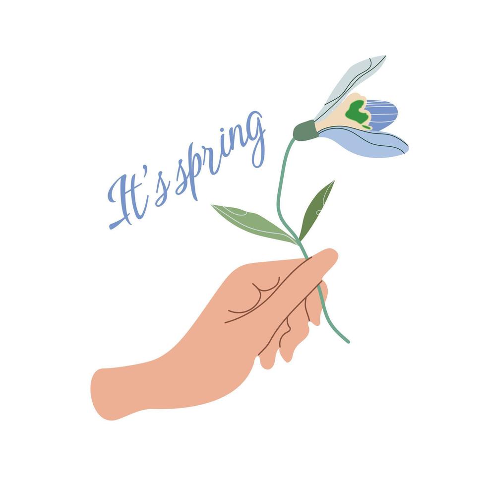 It is spring. Snowdrop in hand. Illustration of a flower in a woman's hand.Vector floral card. vector