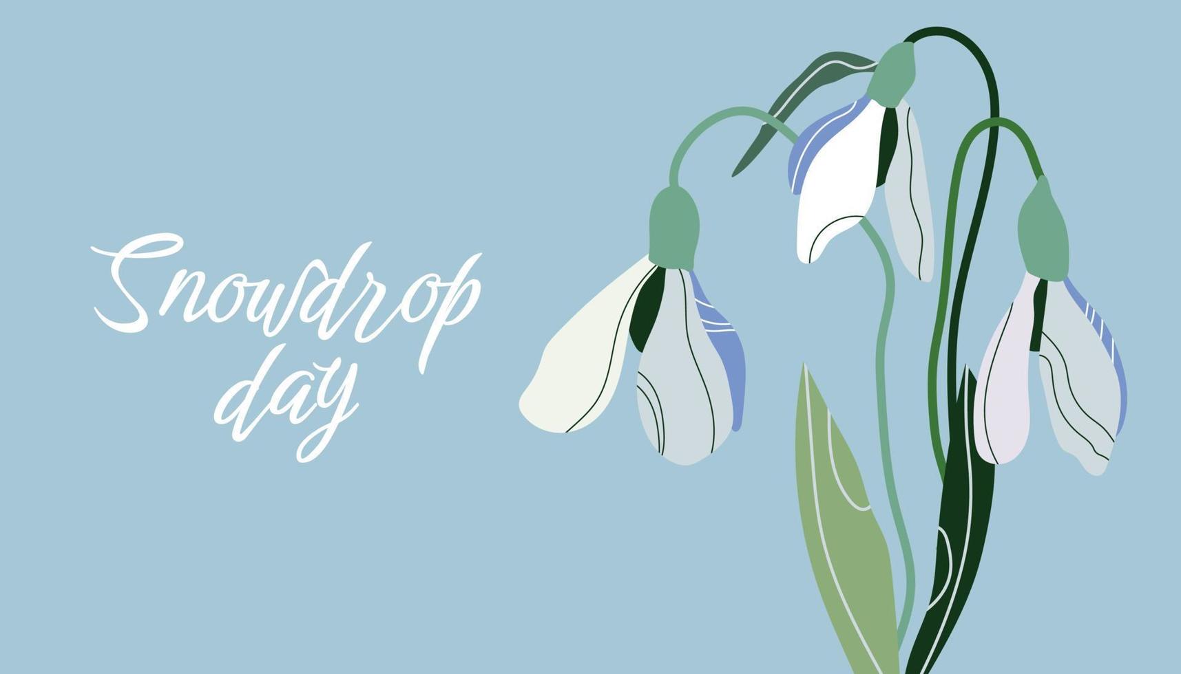 Snowdrop Day. Flowers are white snowdrops with leaves. Spring is coming. Vector illustration isolated on blue background