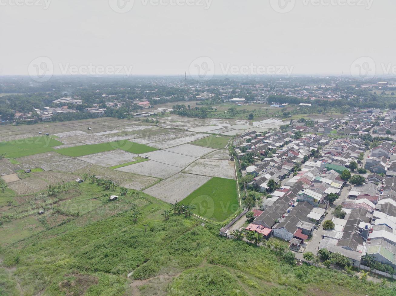 aerial view of various rice fields pattern side by side with local residents houses. photo