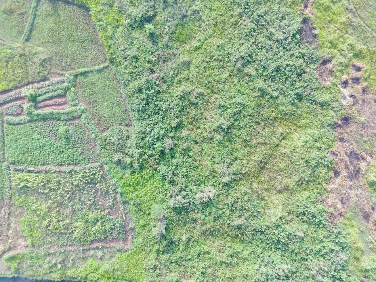 aerial view of land mapping by unmaned aerial vehicle in Bogor, Indonesia. photo