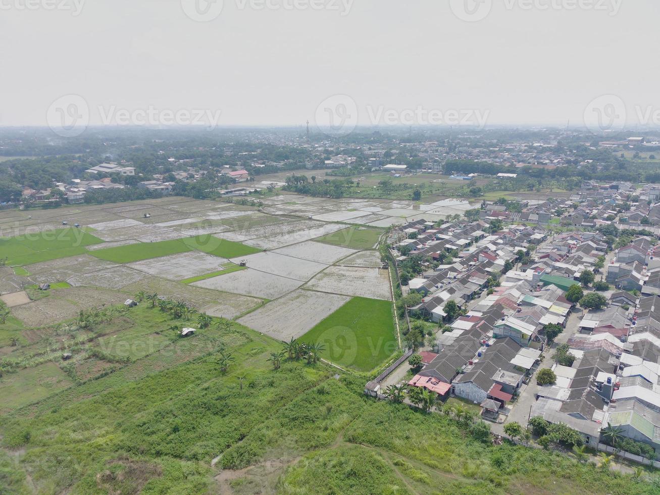 aerial view of various rice fields pattern side by side with local residents houses. photo