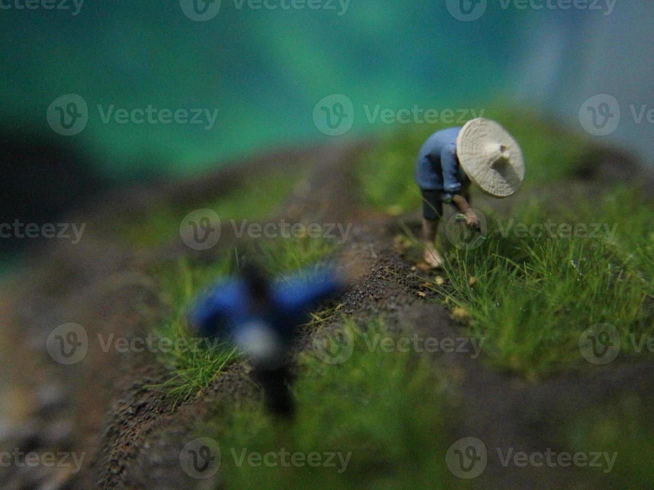 a close up of miniature figures of farmers planting rice. Farming photo concept.