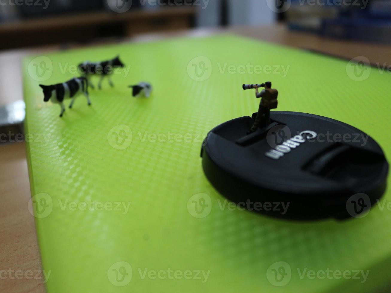 miniature figure of a photographer taking a picture of a herd of cows. photo