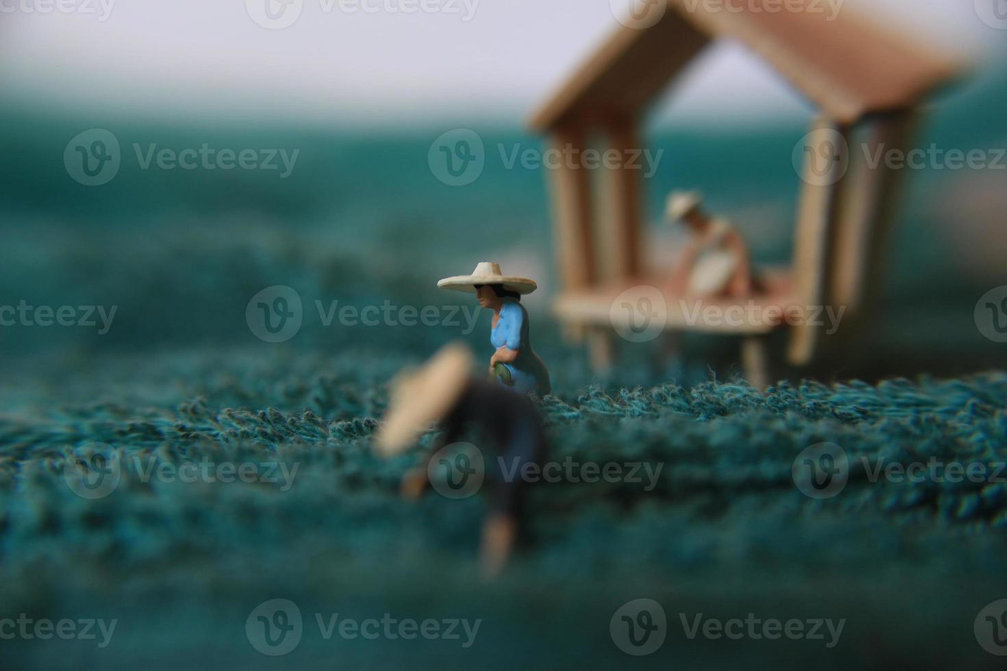 a photo of a miniature figure with the concept of a tea garden farmer who is harvesting, then a women waiting at the pavilion.