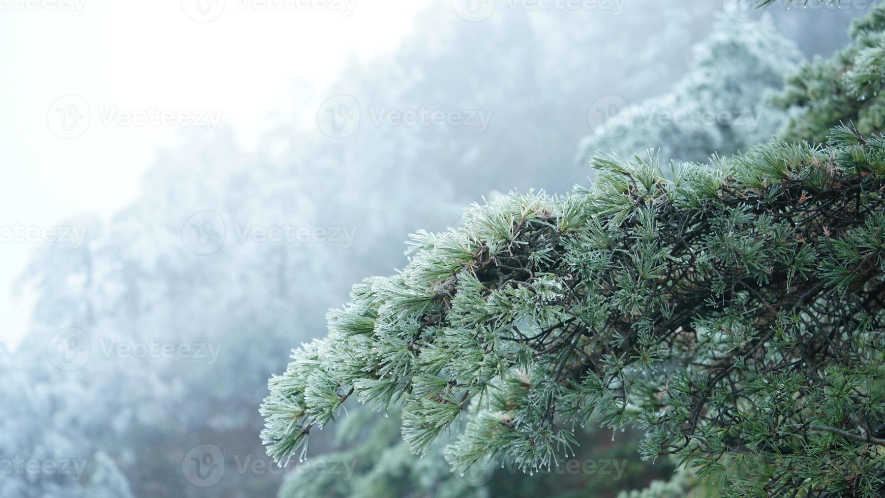 The beautiful frozen mountains view coverd by the white snow and ice in winter photo