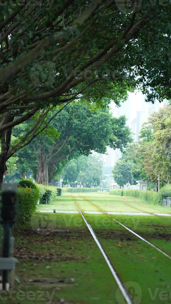 The tram view with the green trees and iron trail in the city photo