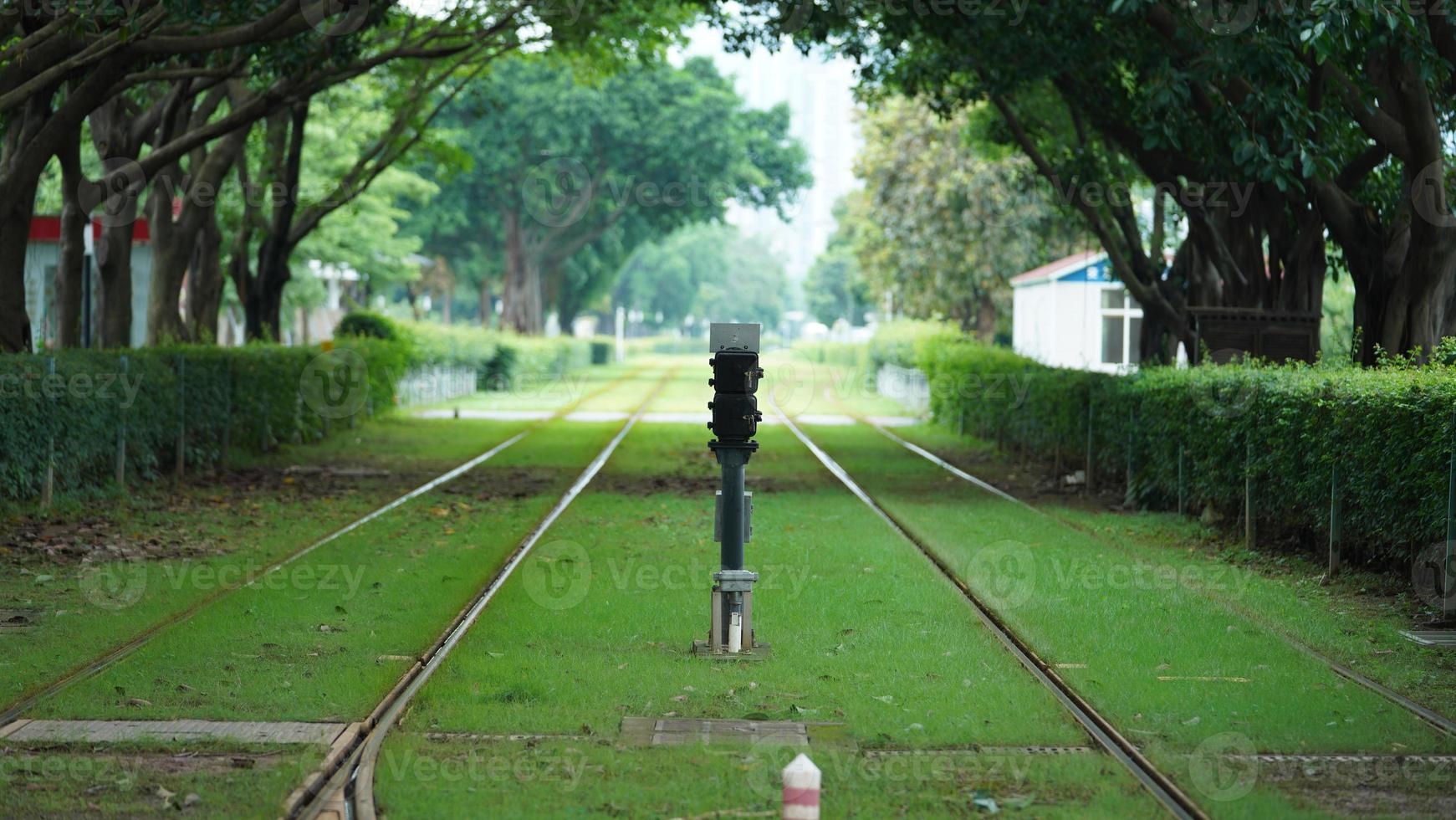 The tram view with the green trees and iron trail in the city photo